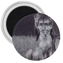 King And Queen Of The Jungle Design  3  Magnets