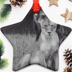 King And Queen Of The Jungle Design  Ornament (star)