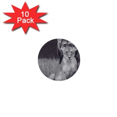 King And Queen Of The Jungle Design  1  Mini Buttons (10 Pack) 