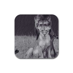 King And Queen Of The Jungle Design  Rubber Square Coaster (4 Pack)  by FrontlineS