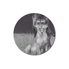 King And Queen Of The Jungle Design  Magnet 3  (round) by FrontlineS