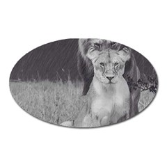 King And Queen Of The Jungle Design  Oval Magnet