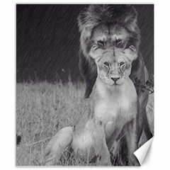 King And Queen Of The Jungle Design  Canvas 8  X 10  by FrontlineS