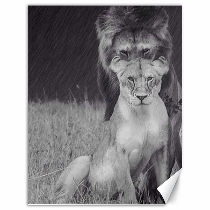 King and Queen of the jungle design  Canvas 12  x 16  