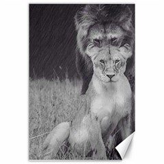 King And Queen Of The Jungle Design  Canvas 24  X 36 