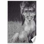 King and Queen of the jungle design  Canvas 24  x 36  23.35 x34.74  Canvas - 1