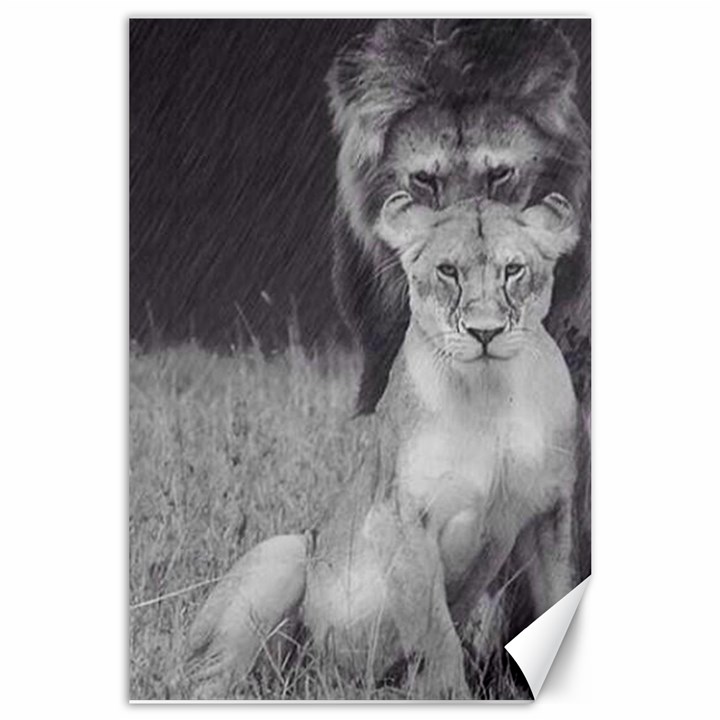 King and Queen of the jungle design  Canvas 24  x 36 