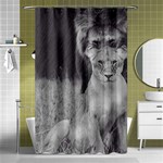 King and Queen of the jungle design  Shower Curtain 48  x 72  (Small)  Curtain(48  X 72 ) - 42.18 x64.8  Curtain(48  X 72 )