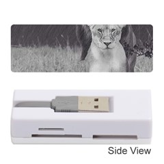 King And Queen Of The Jungle Design  Memory Card Reader (stick) 