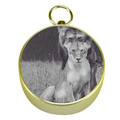 King And Queen Of The Jungle Design  Gold Compasses by FrontlineS