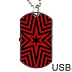 Star Red Kaleidoscope Pattern Dog Tag USB Flash (One Side) Front