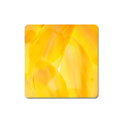 Yellow Pattern Painting Square Magnet