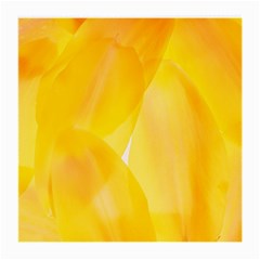 Yellow Pattern Painting Medium Glasses Cloth (2-Side)