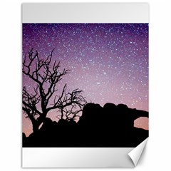 Arches National Park Night Canvas 12  X 16   by Amaryn4rt