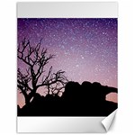 Arches National Park Night Canvas 12  x 16   11.86 x15.41  Canvas - 1