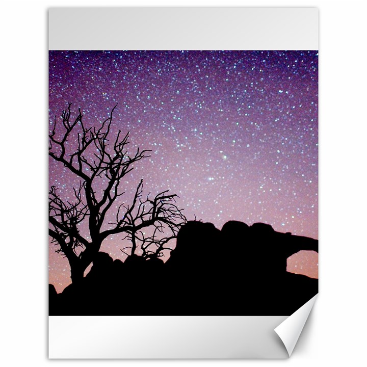 Arches National Park Night Canvas 12  x 16  