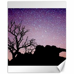 Arches National Park Night Canvas 16  X 20   by Amaryn4rt