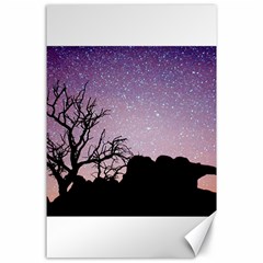 Arches National Park Night Canvas 24  X 36 