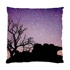 Arches National Park Night Standard Cushion Case (one Side)