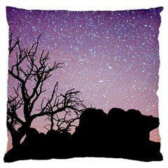 Arches National Park Night Large Cushion Case (two Sides)