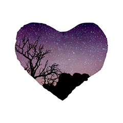 Arches National Park Night Standard 16  Premium Heart Shape Cushions