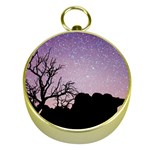 Arches National Park Night Gold Compasses Front