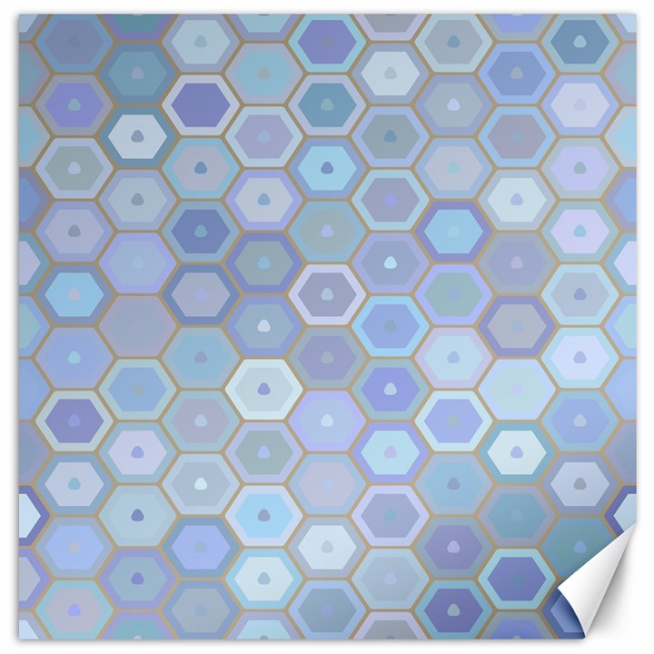 Bee Hive Background Canvas 20  x 20  