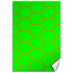 Bee Hive Texture Canvas 12  X 18  