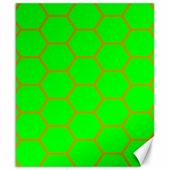 Bee Hive Texture Canvas 20  X 24  