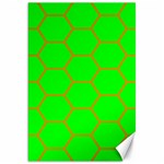 Bee Hive Texture Canvas 20  x 30   19.62 x28.9  Canvas - 1