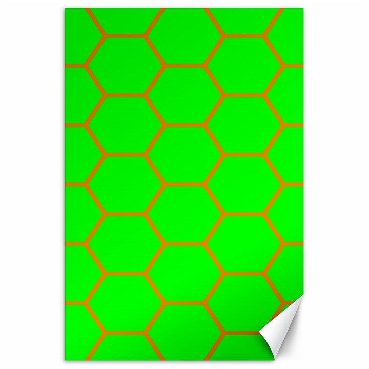 Bee Hive Texture Canvas 20  x 30  