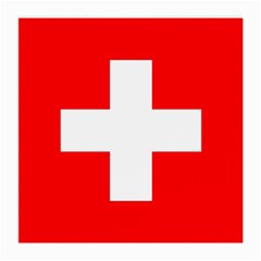 Flag Of Switzerland Medium Glasses Cloth