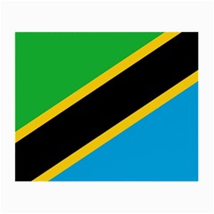 Flag Of Tanzania Small Glasses Cloth