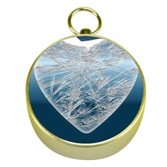 Frozen Heart Gold Compasses