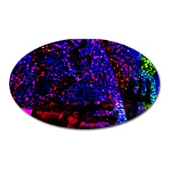 Grunge Abstract Oval Magnet by Amaryn4rt