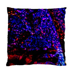 Grunge Abstract Standard Cushion Case (two Sides)