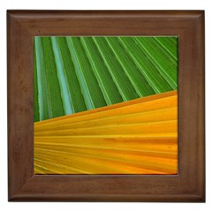 Pattern Colorful Palm Leaves Framed Tiles