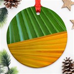 Pattern Colorful Palm Leaves Ornament (Round) Front