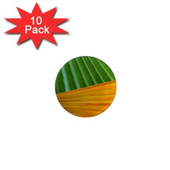 Pattern Colorful Palm Leaves 1  Mini Magnet (10 Pack) 