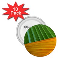 Pattern Colorful Palm Leaves 1 75  Buttons (10 Pack)