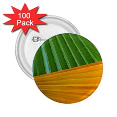 Pattern Colorful Palm Leaves 2 25  Buttons (100 Pack) 