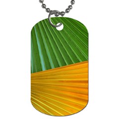 Pattern Colorful Palm Leaves Dog Tag (two Sides)