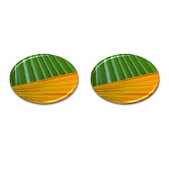 Pattern Colorful Palm Leaves Cufflinks (oval)