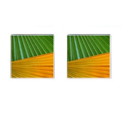 Pattern Colorful Palm Leaves Cufflinks (square) by Amaryn4rt