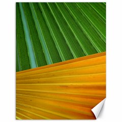 Pattern Colorful Palm Leaves Canvas 18  X 24  