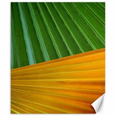 Pattern Colorful Palm Leaves Canvas 20  X 24  