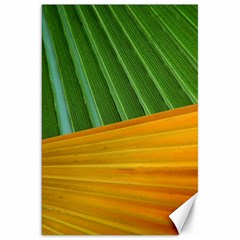 Pattern Colorful Palm Leaves Canvas 20  X 30  