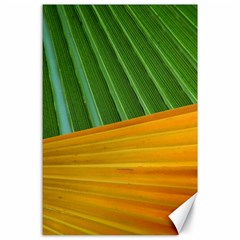 Pattern Colorful Palm Leaves Canvas 24  X 36 