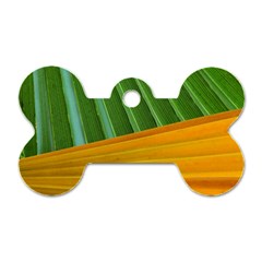 Pattern Colorful Palm Leaves Dog Tag Bone (two Sides)