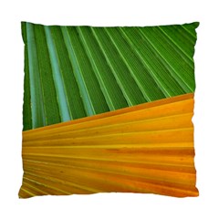 Pattern Colorful Palm Leaves Standard Cushion Case (two Sides)